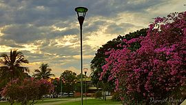 Praça dos girassois, Palmas-TO.jpg