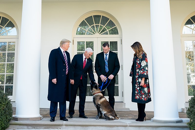 File:President Trump Welcomes Conan the Military Working Dog to the White House (49129080423).jpg