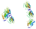 Bawdlun y fersiwn am 04:14, 24 Rhagfyr 2009