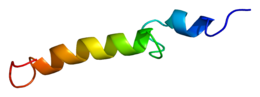 Protein PTH PDB 1bwx.png