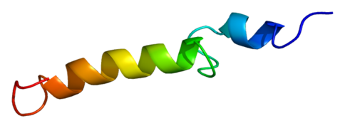 Protein PTH PDB 1bwx.png