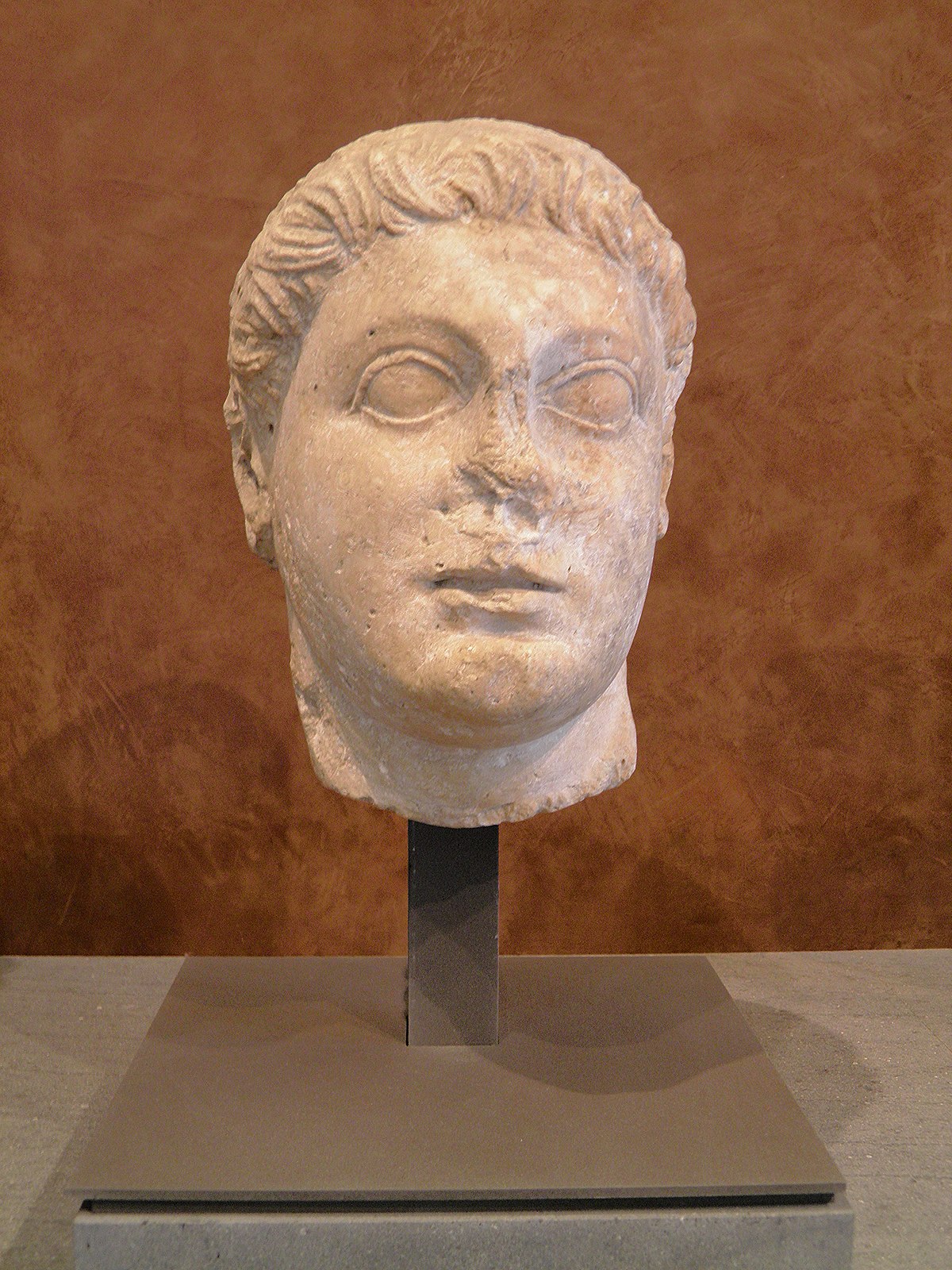 File:Ptolemy II Philadelphus.jpg - Wikimedia Commons