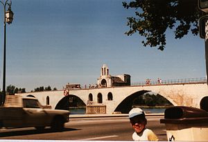 El puente sobre el río Ródano