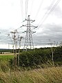 Pylons and cow parsley - geograph.org.uk - 250384.jpg