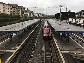 Stacidomo Thalwil