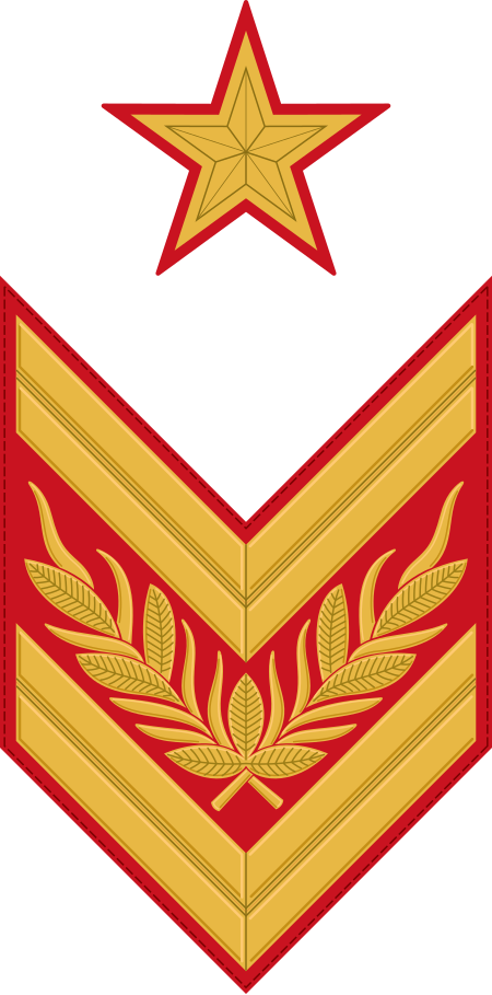 Tập_tin:RKKA_1940_chevron_OF10_marshal.svg