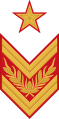 1940年式袖章
