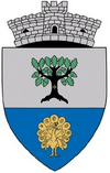 Byvåpenet til Curtești