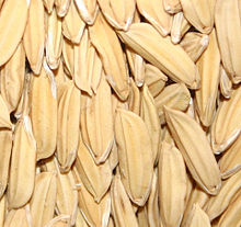 Caryopses de riz entourés de leurs glumelles (grains de riz paddy, type japonica).