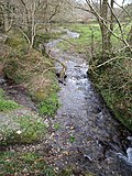 Thumbnail for River Allen, Cornwall
