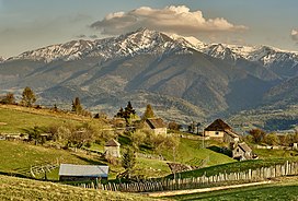 Rodna Mountains things to do in Vișeu de Sus