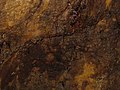 Rosia Montana Roman Gold Mines 2011 - Wall Detail.jpg