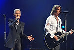 Roxette2.jpg