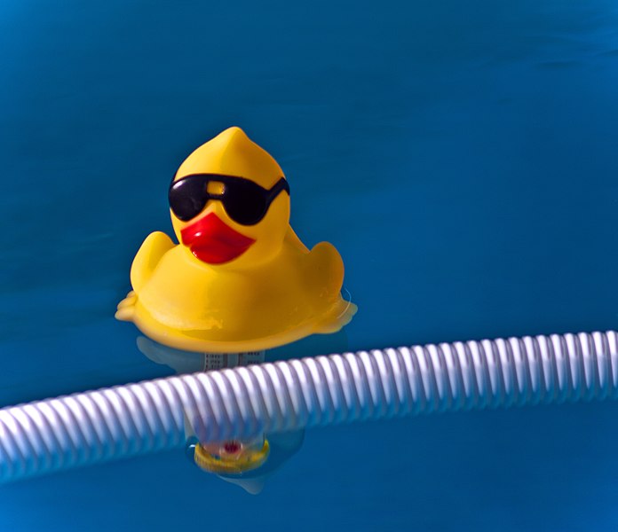 File:Rubber Ducky (5628618625).jpg