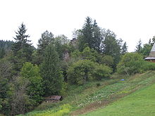 Ruine der Burg Zindelstein