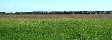 Südliches Federseeried Blick nach Oggelshausen