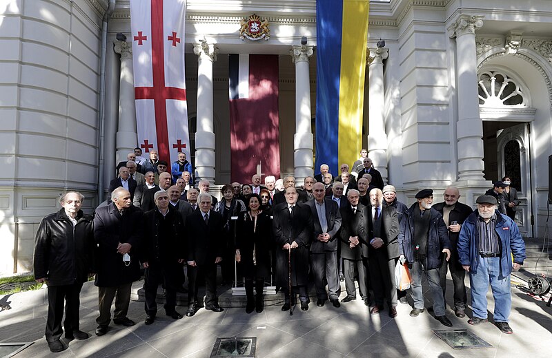 File:Salome Zourabichvili and Members of the Supreme Council.jpg