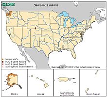 Mapa que muestra el rango de Estados Unidos de Dolly Varden