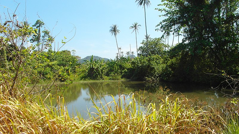 File:Samui (2014 febr.) - panoramio (97).jpg