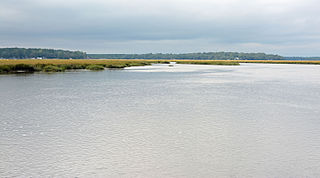 Sapelo River river in the United States of America