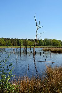 Schleswig-Holstein, Reher, Kratt NIK 0244.JPG