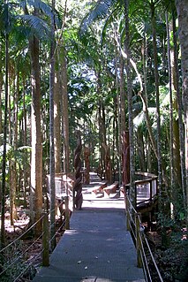 Sea Acres National Park Protected area in New South Wales, Australia