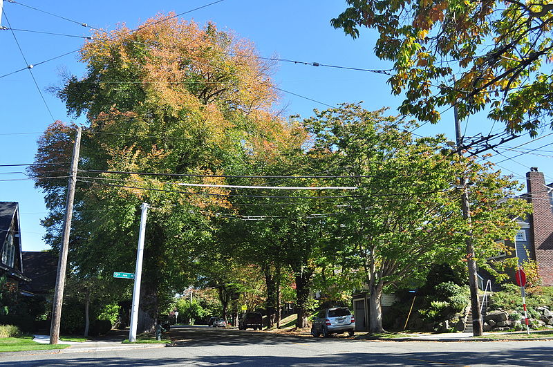 File:Seattle - W Wheeler St at 9th Ave W 01.jpg