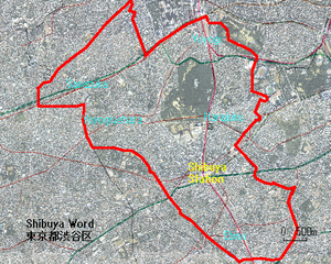 Shibuya: Geografia, Història, Administració