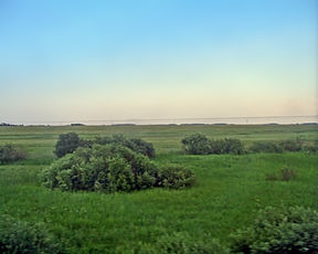 西西伯利亚平原景色