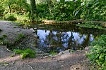 Naturschutzgebiet Seffent mit Wilkensberg