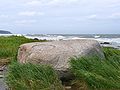 Image 7Erratics, boulders deposited by glaciers far from any existing glaciers, led geologists to the conclusion that climate had changed in the past. (from History of climate change science)