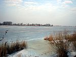 Širvėna lake during winter