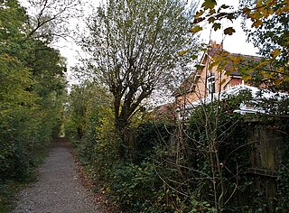 <span class="mw-page-title-main">Whippingham railway station</span> Former railway station in Isle of Wight, UK