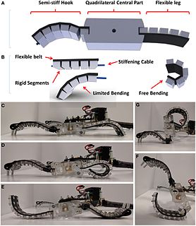 Soft robotics Subfield of robotics