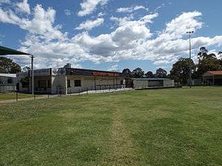 <span class="mw-page-title-main">Southport Tigers</span> Australian rugby league football club