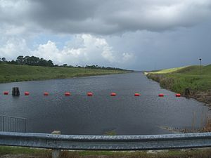 Manatee viewing area on the Sebastian River St. Sebastian River Pres SP FL north manatee area03.jpg