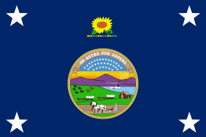 Flag of the Governor prior to 1961. It is unclear when the Governor's flag was first created Standard of the Governor of Kansas (pre-1961).svg