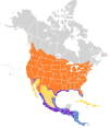 Stelgidopteryx serripennis map.svg