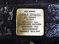 image=File:Stolperstein Thekla Strauss, Kreuzstraße 5, Bonn.jpg