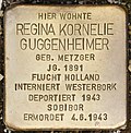 Stolperstein für Regina Kornelie Guggenheimer (Memmingen).jpg