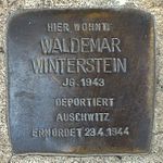 Stolperstein für Waldemar Winterstein (Am Pleidenturm 6)