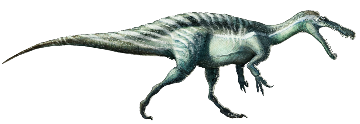 Suchomimus tenerensis reconstruction