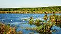 Swan Lake - Lacul lebedelor - panoramio.jpg