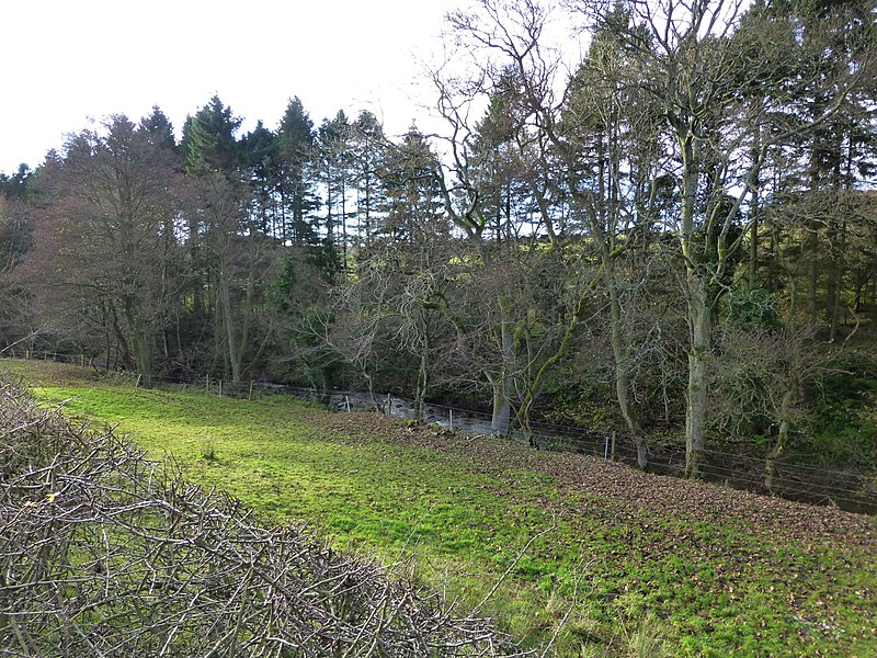 File:Swarland Burn - geograph.org.uk - 3758877.jpg