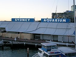 Sydney Aquarium.jpg