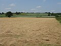 The Big Field and Adzor Bank - geograph.org.uk - 1377076.jpg