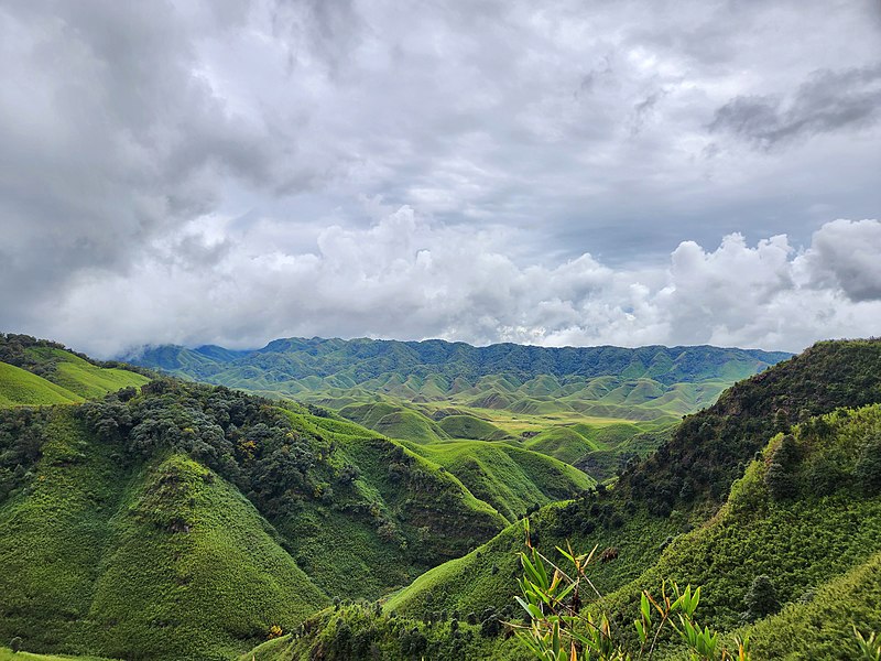 Ficheiro:The breathtaking beauty of the Dzukou Valley.jpg