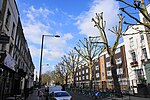 Thumbnail for File:The result of council tree-lopping on Royal College Street - geograph.org.uk - 4871405.jpg