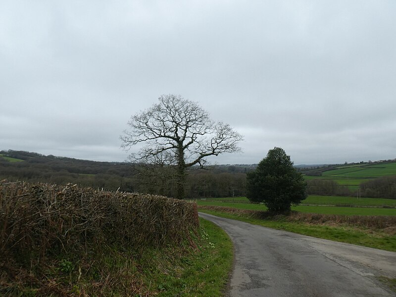 File:The valley of the River Torridge - geograph.org.uk - 6101671.jpg