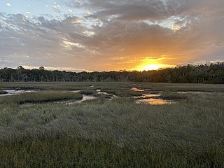<span class="mw-page-title-main">Timucuan Ecological and Historic Preserve</span> Wetlands in Florida (US) managed by the National Park Service